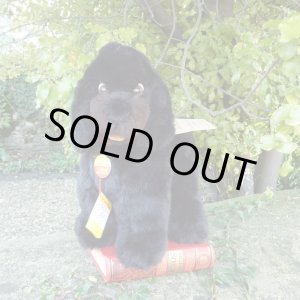 画像: 大変貴重なお品です！ シュタイフ社アーカイブより 28cm  Cosy Tobby プードル　1985年・ハンドメイド試作モデル　（ビンテージ）