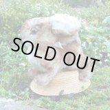 画像: 大変貴重なお品です！ シュタイフ社アーカイブより Ossi Rabbit 23cm 1967年（ビンテージ）