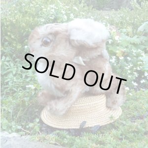 画像: 大変貴重なお品です！ シュタイフ社アーカイブより Ossi Rabbit 23cm 1967年（ビンテージ）