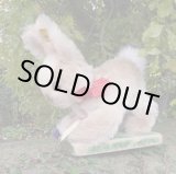 画像: ID全てあり☆大変貴重なお品です！ シュタイフ社アーカイブより Muemmel Rabbit 25cm 1976年（ビンテージ）