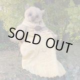 画像: 1点もの☆ Rebecca 41 cm by Ali Jayne Creations （英）