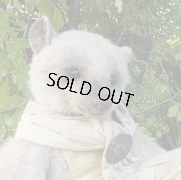 Ali Jayne Creations 作家 テディベア・オブ・ウィットニー