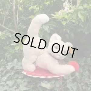 画像: ID全てあり☆大変貴重なお品です！ シュタイフ社アーカイブより Cosy Sulla Cat 16cm 1985年（ビンテージ）