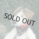 画像: 1点もの☆ Rocco by Lynne Farmer 13cm by Lynne Farmer（英） 