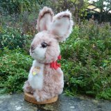 画像: 大変貴重なお品です！ シュタイフ社アーカイブより Buzzel Rabbit 20cm 1971年（ビンテージ）