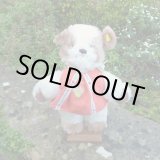 画像: 大変貴重なお品です！ シュタイフ社アーカイブより Paddy Dog 30cm 1970年（ビンテージ）