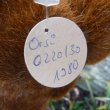 画像5: 大変貴重なお品です！ シュタイフ社アーカイブより Orsi Bear 30cm 1980年（ビンテージ）