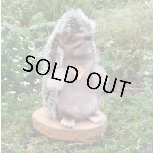 画像: 大変貴重なお品です！ シュタイフ社アーカイブより Joggi Hedgehog 12cm 1978年（ビンテージ）