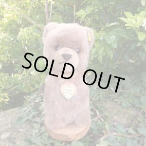 画像: ID全てあり☆大変貴重なお品です！ シュタイフ社アーカイブより Buzzel Bear 20cm 1971年（ビンテージ）