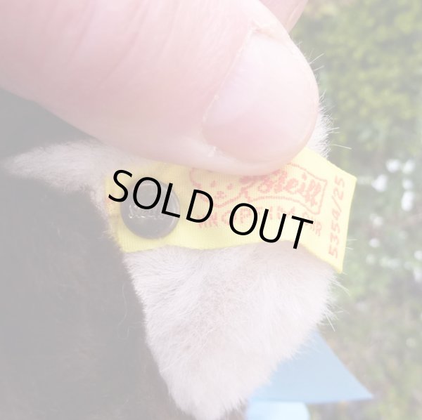 画像5: ID全てあり☆大変貴重なお品です！ シュタイフ社アーカイブより Cosy Lommy Bear 25cm  1982年（ビンテージ）