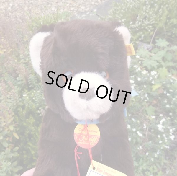 画像3: ID全てあり☆大変貴重なお品です！ シュタイフ社アーカイブより Cosy Lommy Bear 25cm  1982年（ビンテージ）