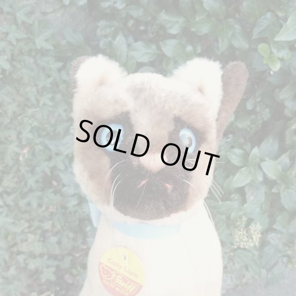 画像5: 大変貴重なお品です！ シュタイフ社アーカイブより Cosy Siam Cat 22cm 1970年（ビンテージ）