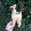 画像4: 大変貴重なお品です！ シュタイフ社アーカイブより Cosy Siam Cat 22cm 1970年（ビンテージ）