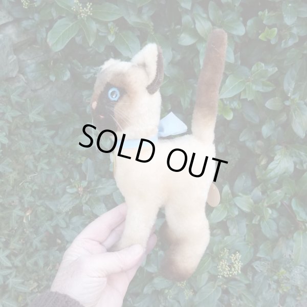 画像4: 大変貴重なお品です！ シュタイフ社アーカイブより Cosy Siam Cat 22cm 1970年（ビンテージ）