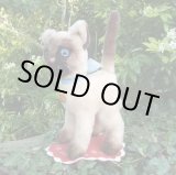 画像: 大変貴重なお品です！ シュタイフ社アーカイブより Cosy Siam Cat 22cm 1970年（ビンテージ）