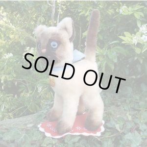 画像: 大変貴重なお品です！ シュタイフ社アーカイブより Cosy Siam Cat 22cm 1970年（ビンテージ）