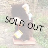 画像: ID全てあり☆大変貴重なお品です！ シュタイフ社アーカイブより Cosy Lommy Bear 25cm  1982年（ビンテージ）