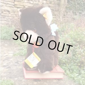 画像: ID全てあり☆大変貴重なお品です！ シュタイフ社アーカイブより Cosy Lommy Bear 25cm  1982年（ビンテージ）