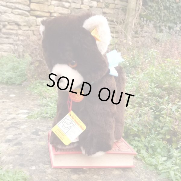 画像1: ID全てあり☆大変貴重なお品です！ シュタイフ社アーカイブより Cosy Lommy Bear 25cm  1982年（ビンテージ）