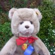 画像2: ID全てあり☆大変貴重なお品です！ シュタイフ社アーカイブより Original Teddy Bear Caramel 35cm  1976年（ビンテージ）