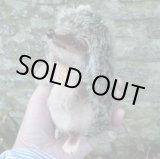 画像: 大変貴重なお品です！ シュタイフ社アーカイブより Joggi Hedgehog 12cm 1978年（ビンテージ）