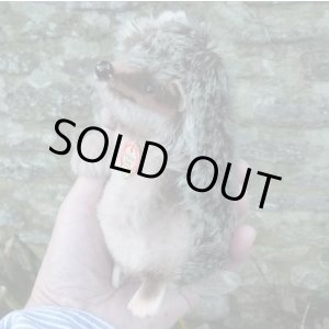 画像: 大変貴重なお品です！ シュタイフ社アーカイブより Joggi Hedgehog 12cm 1978年（ビンテージ）