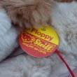 画像6: ID全てあり☆大変貴重なお品です！ シュタイフ社アーカイブより Floppy Puppy 18cm 1983年（ビンテージ）
