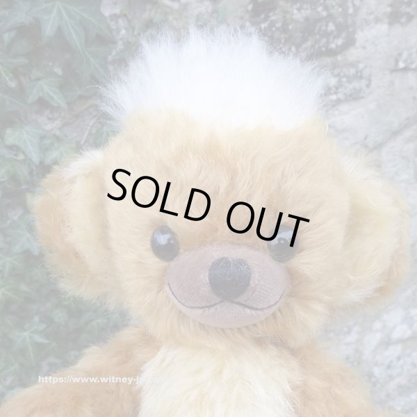 画像2: 初登場☆ メリーソート パンキーイヤーベア2026　23cm 7番