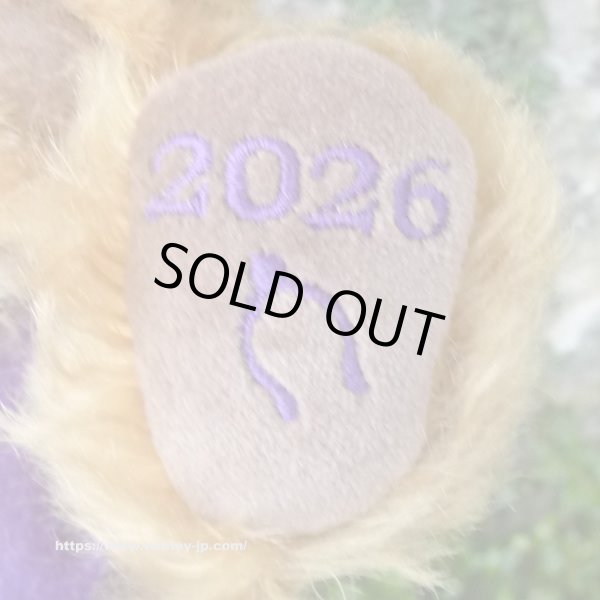 画像4: 初登場☆ メリーソート パンキーイヤーベア2026　23cm 7番