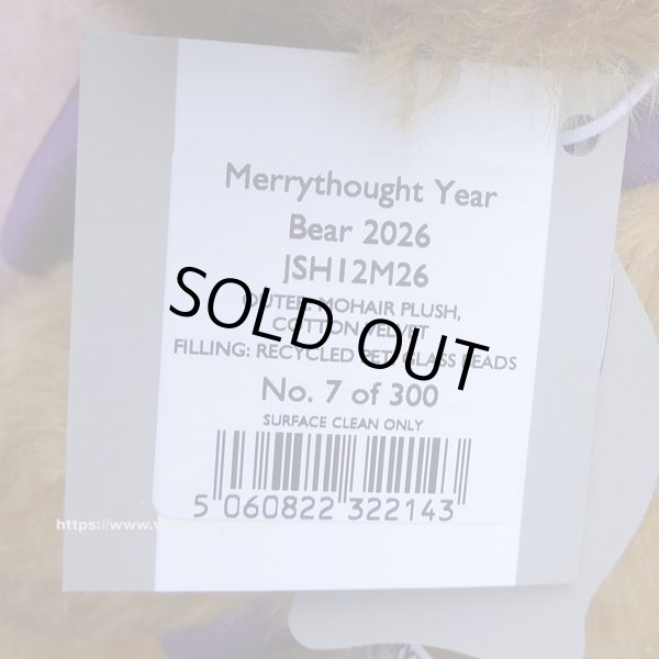 画像6: 初登場☆　メリーソート イヤーベア2026　30.5cm 7番