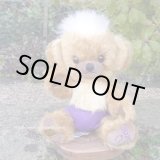 画像: 初登場☆ メリーソート パンキーイヤーベア2026　23cm 7番