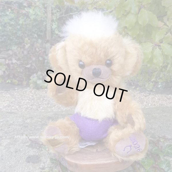 画像1: 初登場☆ メリーソート パンキーイヤーベア2026　23cm 7番