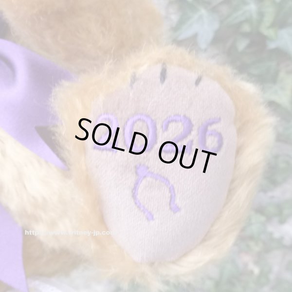 画像5: 初登場☆ メリーソート チーキーイヤーベア2026　25.5cm  7番