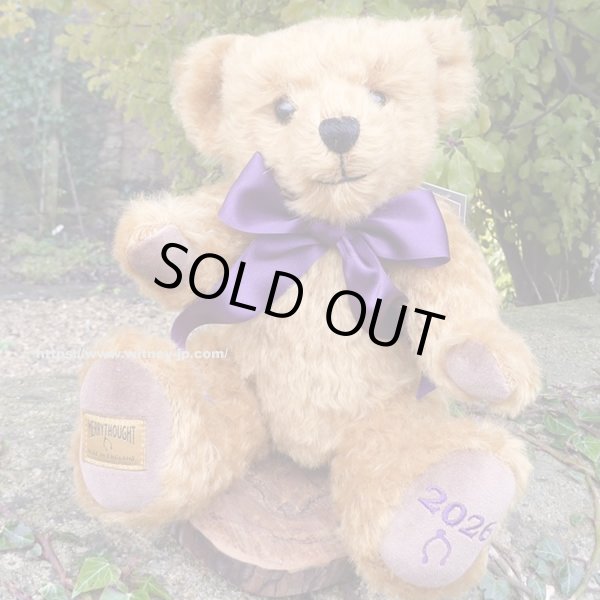 画像1: 初登場☆　メリーソート イヤーベア2026　30.5cm 7番