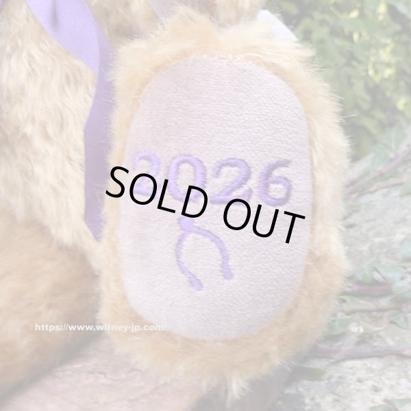 画像5: 初登場☆　メリーソート イヤーベア2026　30.5cm 7番