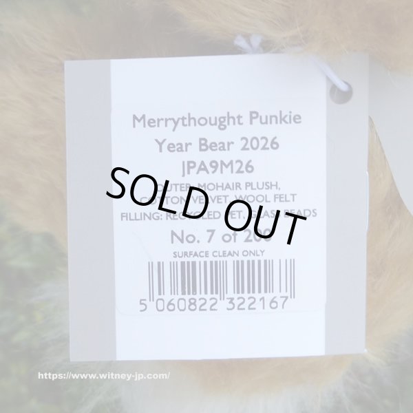 画像6: 初登場☆ メリーソート パンキーイヤーベア2026　23cm 7番