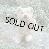 画像: ウィットニー40周年記念☆ メリーソート　【ウィットニー限定】 ティミー 20cm 83番