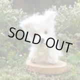 画像: 首輪無しにつき、特別価格☆【ウィットニー限定】ボビー 17cm　(画像あり）