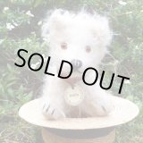 画像: 数体のみ再入荷しました☆【ウィットニー限定】ボビー 17cm （画像あり）