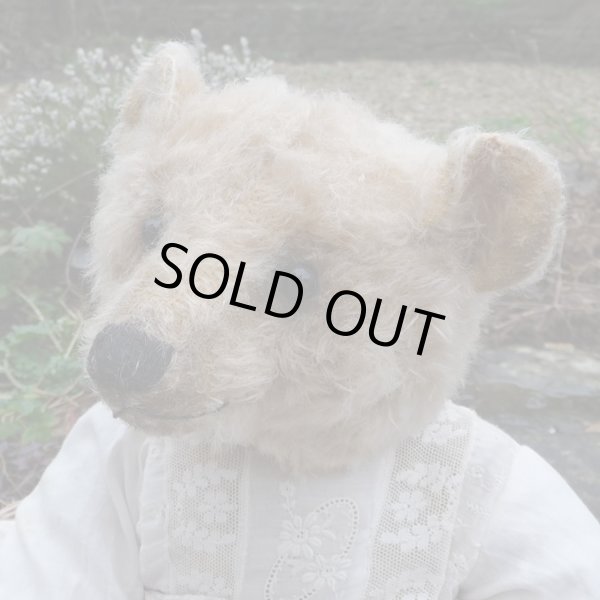 画像4: 1点もの☆ Nelly Wyn by Mary 42cm（フォーゲットミーノット）