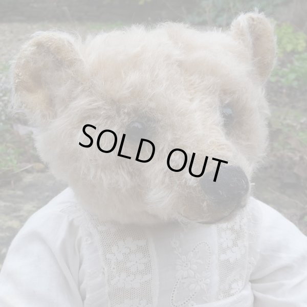 画像3: 1点もの☆ Nelly Wyn by Mary 42cm（フォーゲットミーノット）