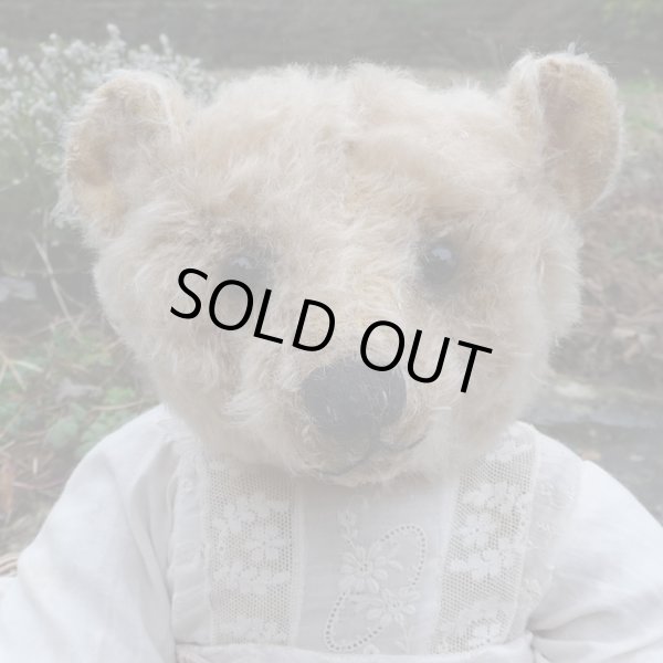 画像2: 1点もの☆ Nelly Wyn by Mary 42cm（フォーゲットミーノット）