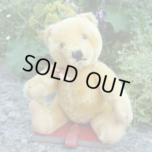 画像: エクセレントコンディション☆ Steiff Blond Original Teddy 20cm 推定1950年代 (ビンテージ)