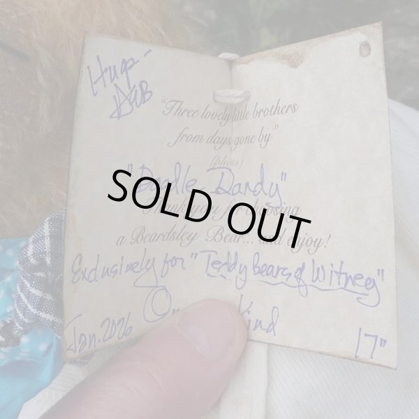 画像6: 1点もの☆ Doodle Dandy 46cm by Deb Beardsley （アメリカ）