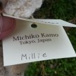 画像7: 1点もの☆ 加茂美智子さん作  Millie 17cm