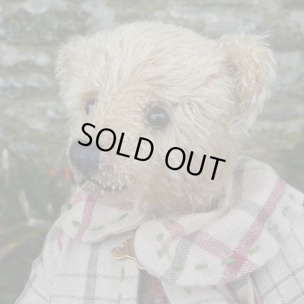 画像5: 1点もの ☆ Ernest by Sharon Barron 20cm（米）