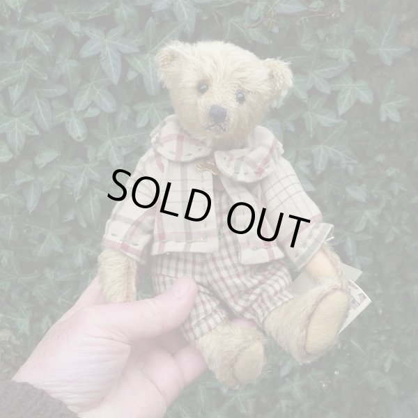 画像3: 1点もの ☆ Ernest by Sharon Barron 20cm（米）