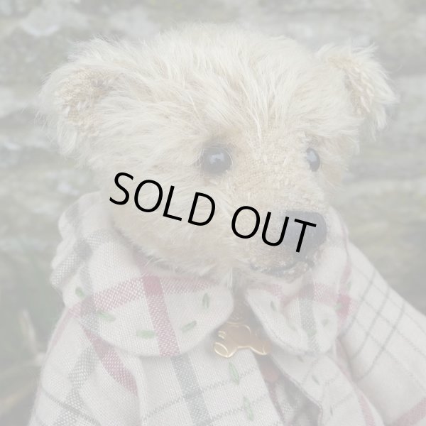 画像6: 1点もの ☆ Ernest by Sharon Barron 20cm（米）