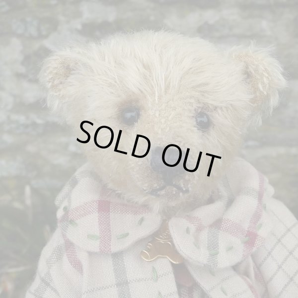 画像4: 1点もの ☆ Ernest by Sharon Barron 20cm（米）