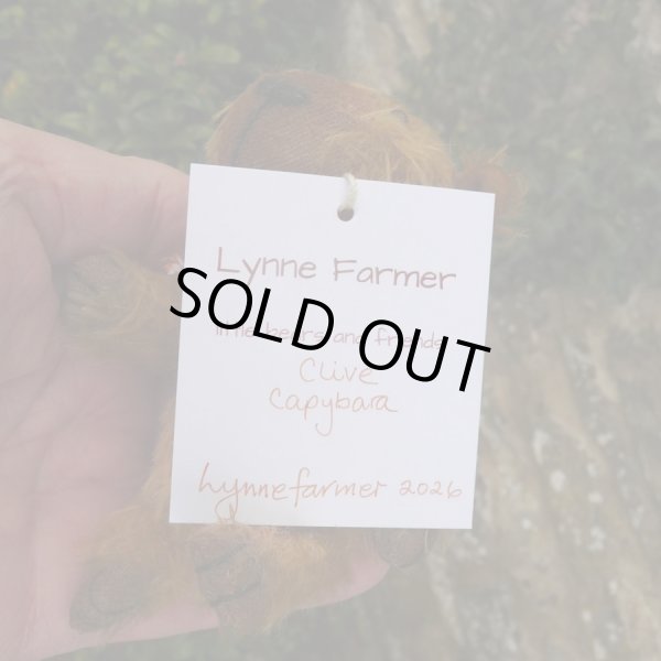 画像4: イアンさんのお気に入り☆ 1点もの☆　カピバラのクライヴ 13 cm by Lynne Farmer（英）